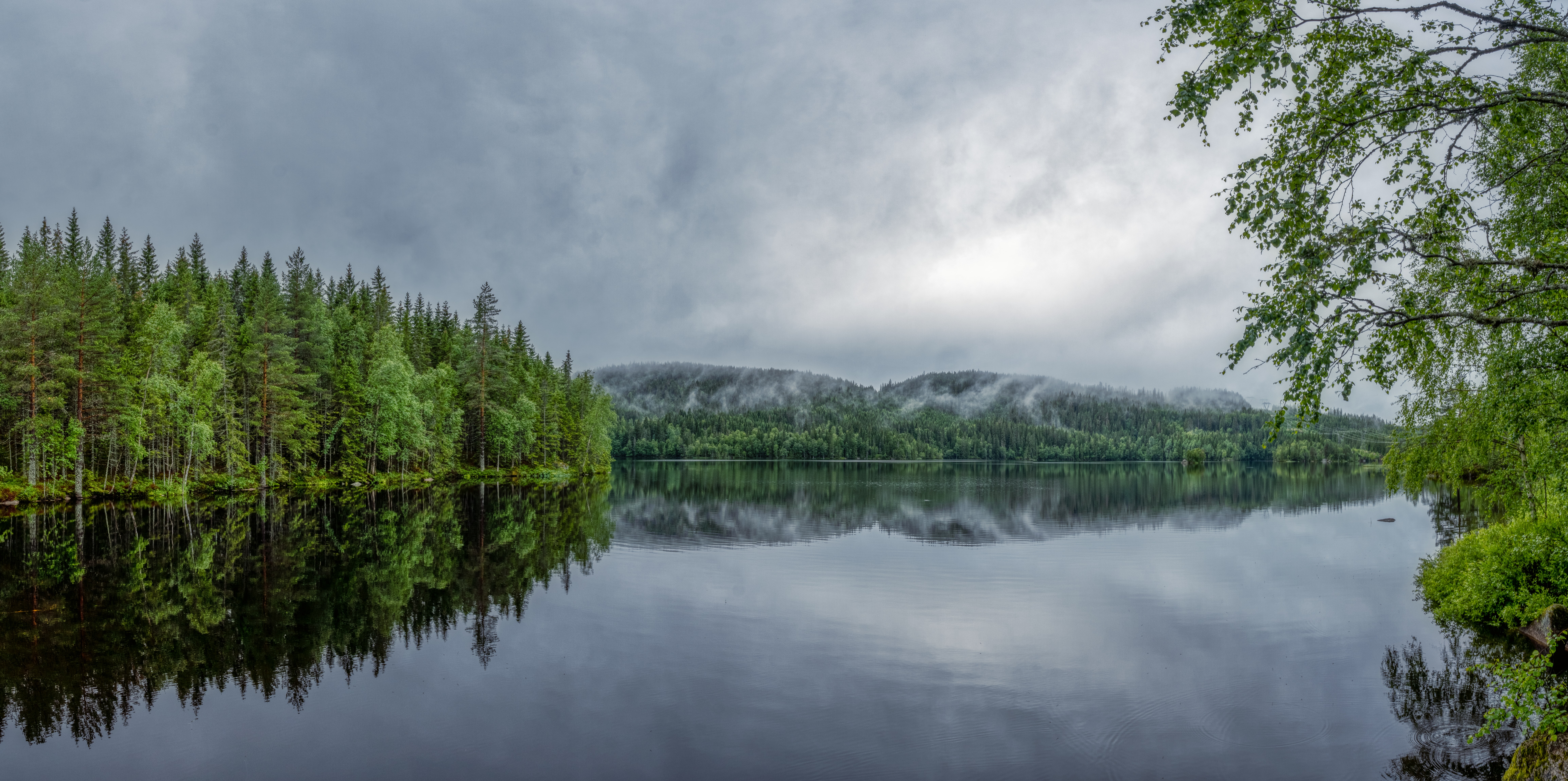 A quiet lake reflecting the forests of Nordmarka, Norway